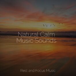 Album cover of Natural Calm Music Sounds