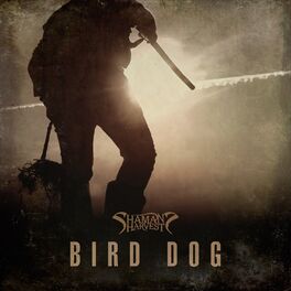 Album cover of Bird Dog
