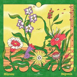 Album cover of Begonia