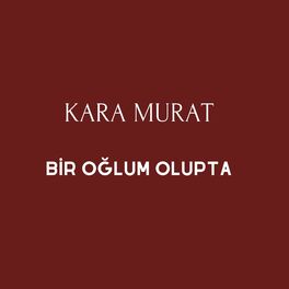 Album cover of Bir Oğlum Olupta