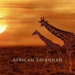 Album cover of African Savannah: Slow Stress-Busting Meditation Music for Bliss and Tranquility, African Lullabies (Kalimba & Drums)