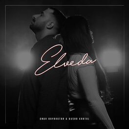 Album cover of Elveda (feat. Büşra Kartal)