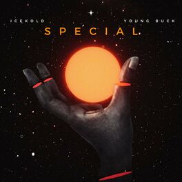 Album cover of Special (feat. Young Buck)