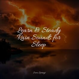Album cover of Learn & Steady Rain Sounds for Sleep