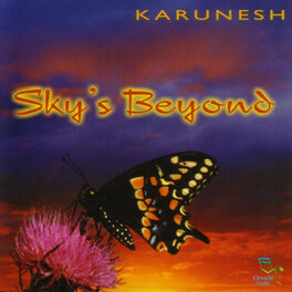 Album cover of Sky's Beyond