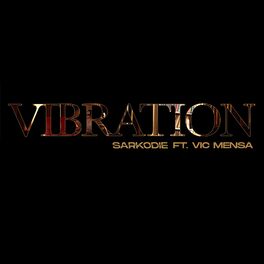Album cover of Vibration
