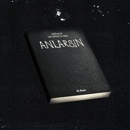 Album cover of ANLARSIN