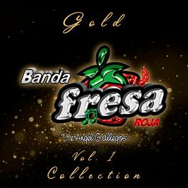 Album cover of Gold Collection, Vol.1