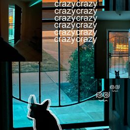 Album cover of crazy (feat. faun & riot)