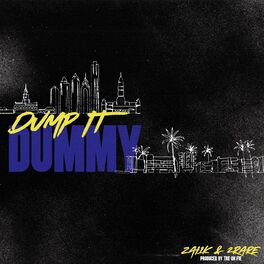 Album cover of Dump It Dummy