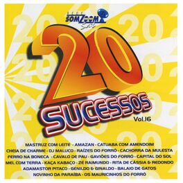Album cover of 20 Sucessos SomZoom Sat, Vol. 16