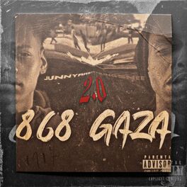 Album cover of 868 GAZA 2.0