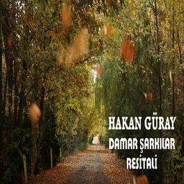 Album cover of Damar Şarkılar Resitali