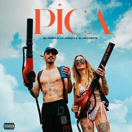 Album cover of PICA