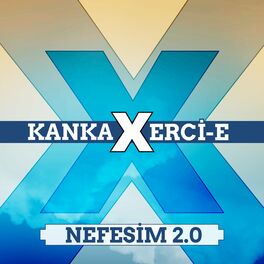 Album cover of Nefesim 2.0