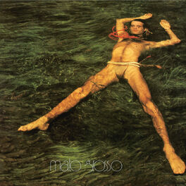 Album cover of Mato Grosso (1982)