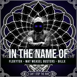 Album cover of In the name of