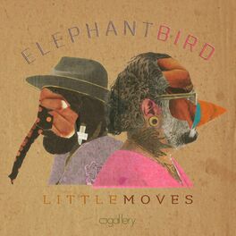 Album cover of Little Moves