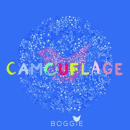 Album cover of Camouflage