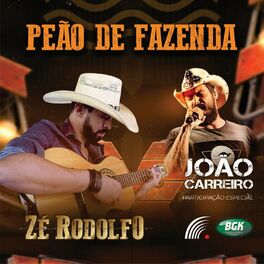 Album cover of Peão de Fazenda