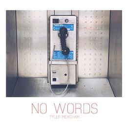 Album cover of No Words