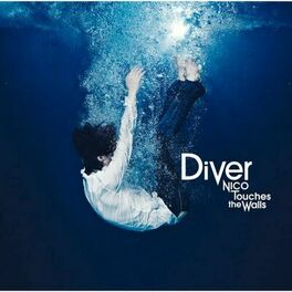 Album cover of Diver