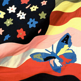 Album cover of Wildflower