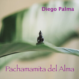 Album cover of Pachamamita Del Alma