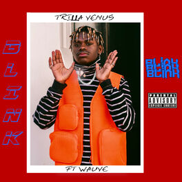Album cover of Blink