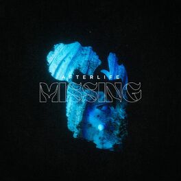 Album cover of Missing