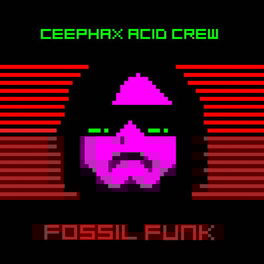 Album cover of Fossil Funk EP