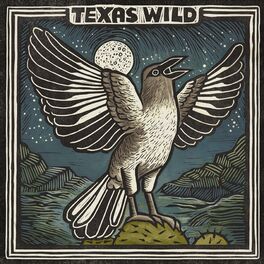Album cover of Texas Wild