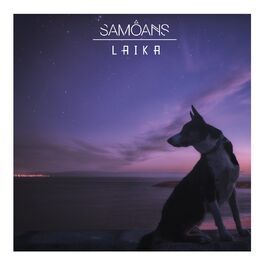 Album cover of Laika