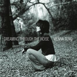 Album cover of Dreaming Through The Noise