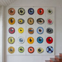 Album cover of When Animals Stare