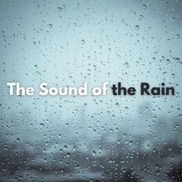 Album cover of The Sound of the Rain