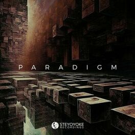 Album cover of Steyoyoke Paradigm, Vol. 10