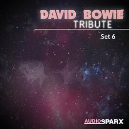 Album cover of David Bowie Tribute, Set 6