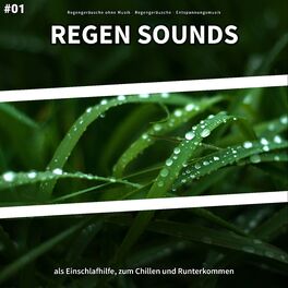 Album cover of #01 Regen Sounds als Einschlafhilfe, zum Chillen und Runterkommen