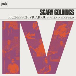Album cover of Professor Vicarious