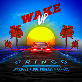 Album cover of Wake up (feat. Laruzo)