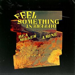 Album cover of FEEL SOMETHING DIFFERENT