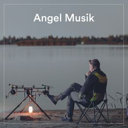 Album cover of Angel Musik