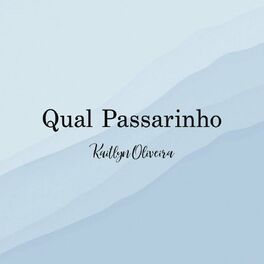 Album cover of Qual Um Passarinho