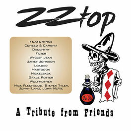 Album cover of ZZ Top – A Tribute From Friends