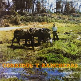 Album cover of Corridos y Rancheras