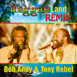 Album cover of Reggae Land Remix - Single
