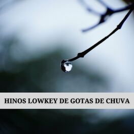Album cover of Hinos Lowkey De Gotas De Chuva