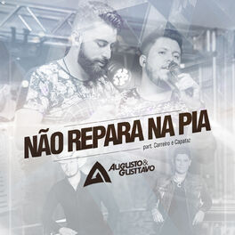 Album cover of Não Repara na Pia