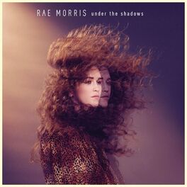Album cover of Under The Shadows